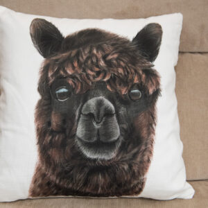 Alpaca Cushions